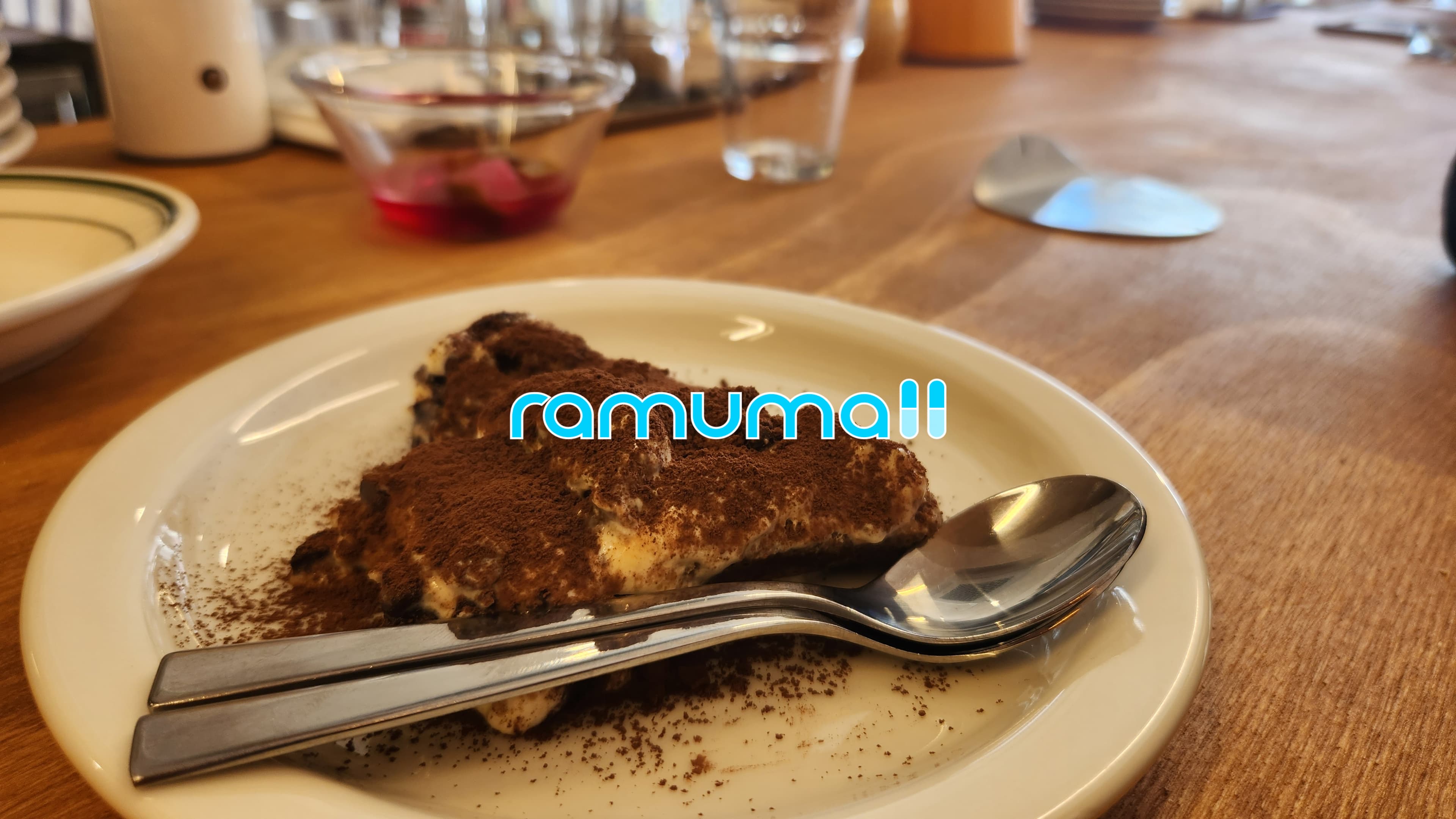 메트포르민 Metjuv 500mg 직구 후기